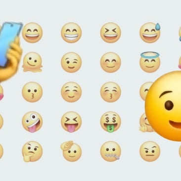 InShot_20260118_133141193