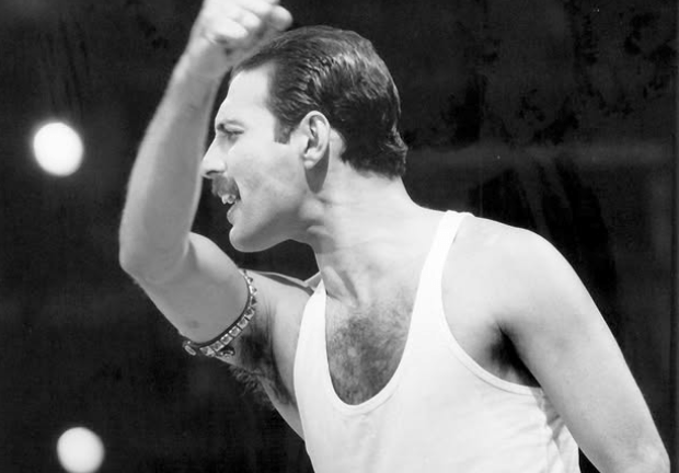 Freddie Mercury: Kashmira Bulsara riporta a casa i suoi ricordi