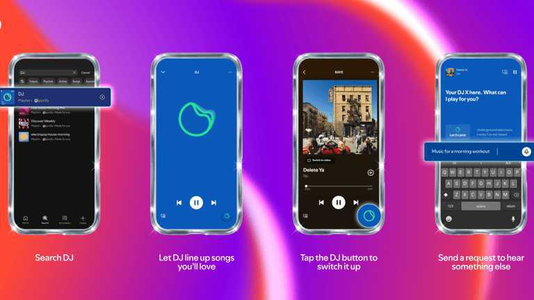 DJ Infographic Spotify