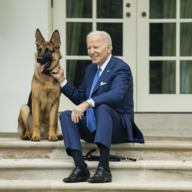 Commander, il cane di Biden ha morso 24 agenti del Secret Service