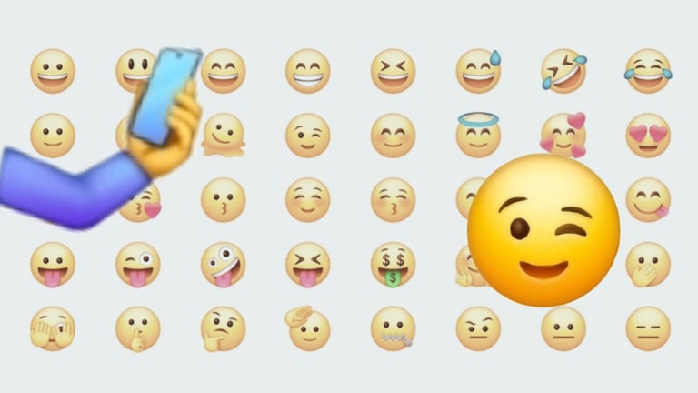 InShot_20260118_133141193