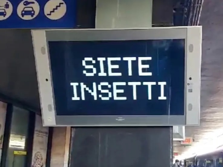 “Siete insetti”: no, non è un attacco hacker