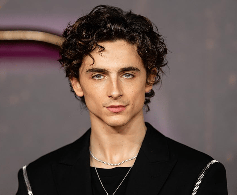 Timothée Chalamet riceverà il David Speciale