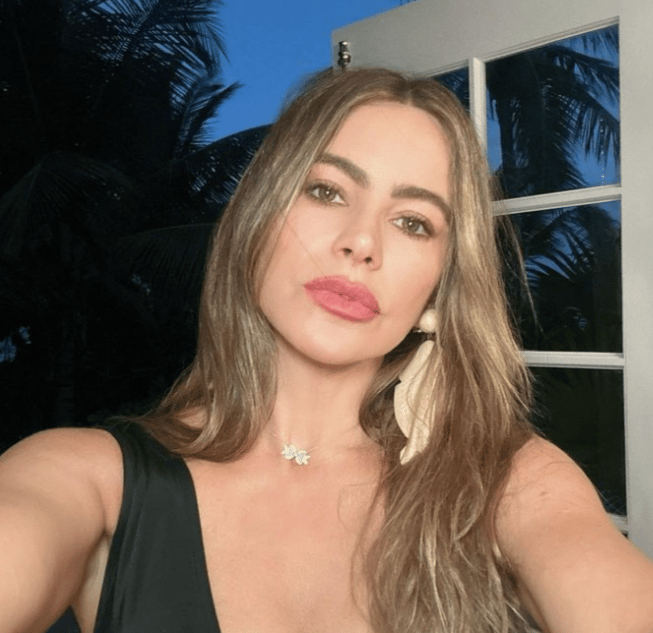 Sofia Vergara: "Avere relazioni è difficile".