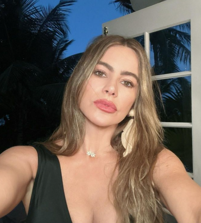 Sofia Vergara: "Avere relazioni è difficile".