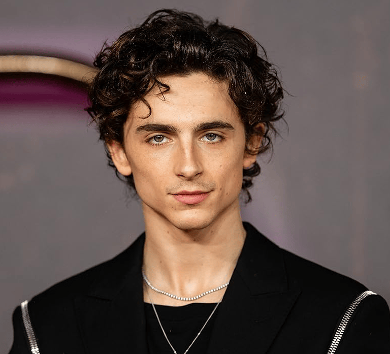 Timothée Chalamet riceverà il David Speciale